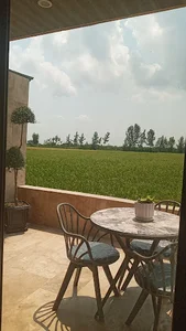 سنگر sangar