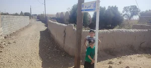 کوچه کتی ها