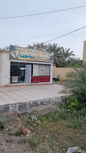 فست فود و صبحانه عصرانه زیتون