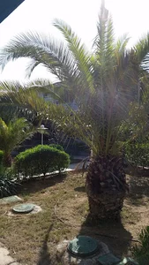 شرکت ملی نفتکش ایران