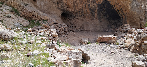 غار پناه پایین لا باز (غارچه)