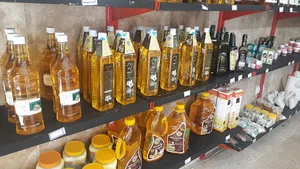 کوشک ارگانیک شعبه ۲