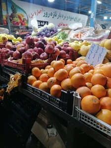 میوه و تره بار آبی 4