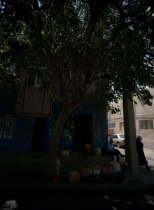 میوه و سبزی فروشی 2
