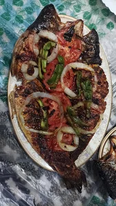 ماهی کباب خورانی