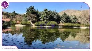 صبحانه