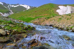 باغ ابریشم