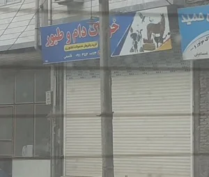 خوراک دام و طیور