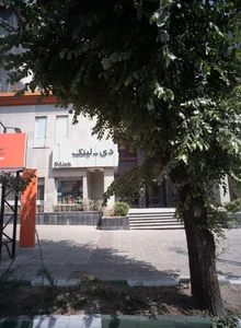 دی لینک