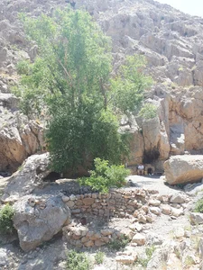 چشمه لادوزخ