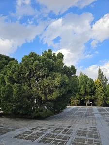 باغ تجربه