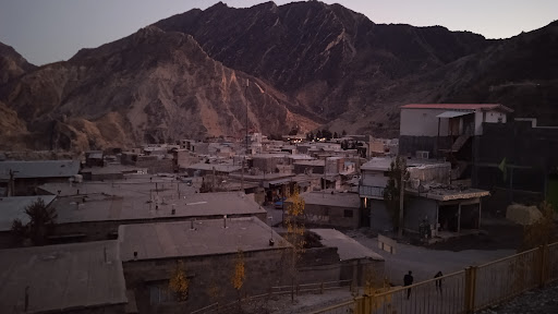 تعویض روغنی علی دلاور