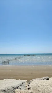 ساحل بندرعباس