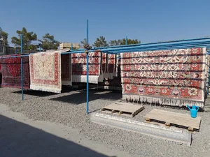 قالیشویی پردیس