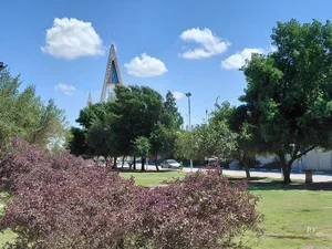 بوستان افشاری 3