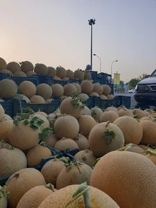 فاز یک سالن12حجره 2حسن طالبی