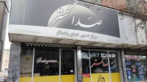 صداگستر سیستم صوت