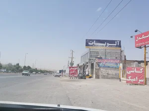 آلوپات