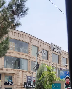 Dr. Negin Golparian