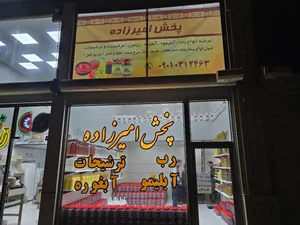 پخش امیرزاده 5