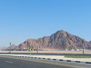 Reviving Humanity Memorial