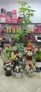 گلسرای لاله 4