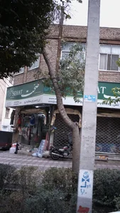 ارزانسرای ستاره ری 4