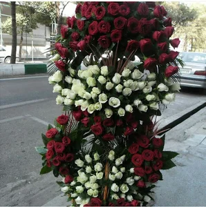 گل شیدایی