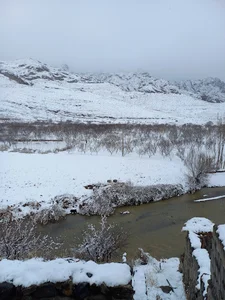 Golan