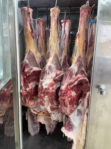 گوشت خیرالسادات