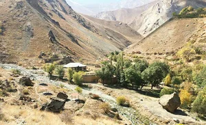 دشت ناز