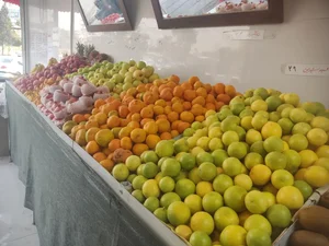 میوه سرای دالاهو 4