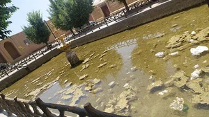 استخر علی آباد تفت