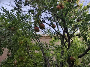 مهمانسرا آب و فاضلاب