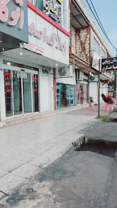 املاک اسدی