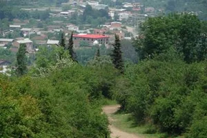 نمایندگی بیمه پاسارگاد قائم شهر کد 71249