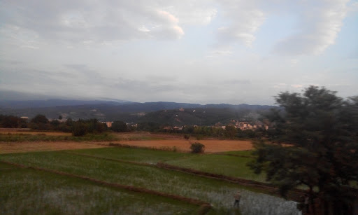 تاکسی تلفنی نوبهاران