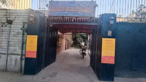 هنرخانه درخت 3