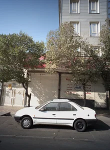 مشاور املاک گلچینه