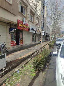 رستوران دورچین