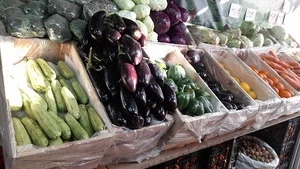 میوه سرای سلیمانی