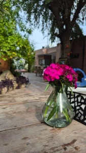 باغ رستوران ترمه 5