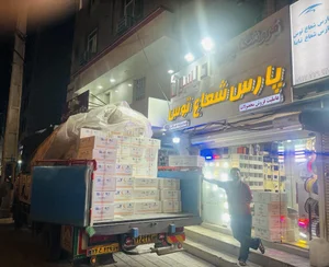 فروشگاه برق ادیسون نمایندگی پارس شعاع توس 2