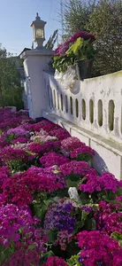 گالری گل و گیاه ساحل