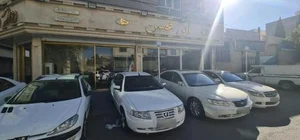 اتو محسن 4