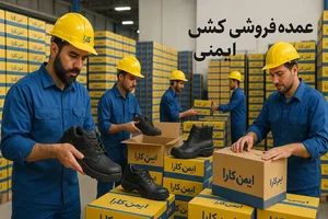لوازم ایمنی ایمن کاراعوائدی 5