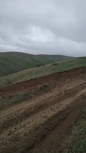 ملالو
