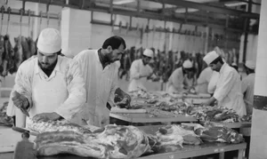 کشتارگاه صنعتی مرغ طلایی نوشهر