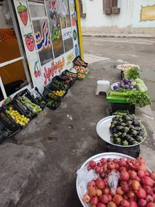 سوپرمیوه وتره بار برکت 2