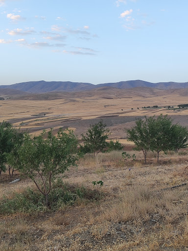 باغ رضا خسروی
